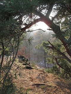 natuurgebied Mookerheide