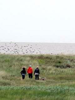 rondtrekken op Texel