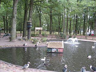 Diever brink