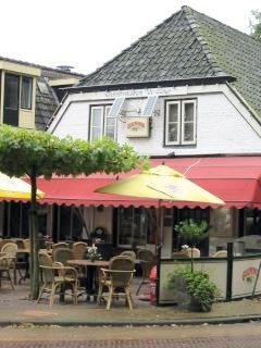 Diever