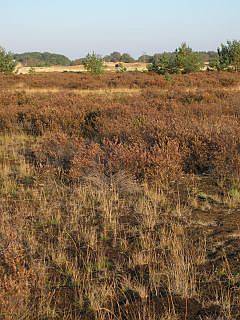 Nationaal Park Drents Fries Wold