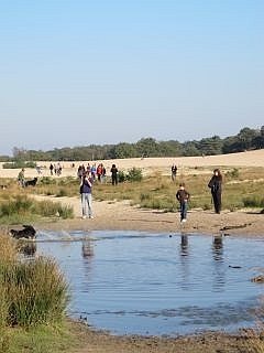 Loonse en Drunense Duinen