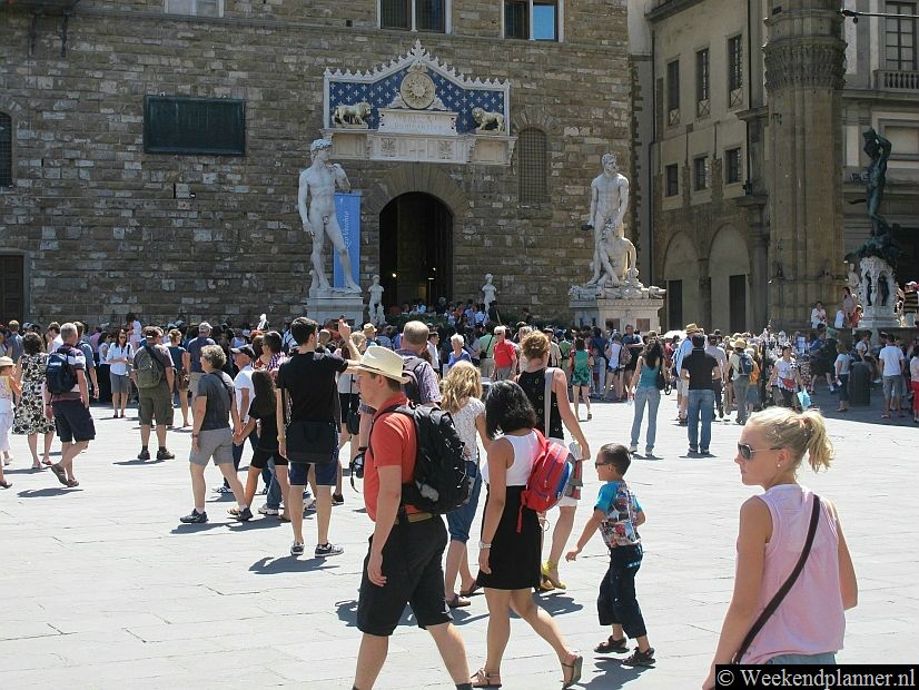 Voor het paleis Palazzo Vecchio staan beelden. De beroemde David van Michalangelo stond hier maar die is verplaatst naar het museum Galleria dell'Accademia. Er staat nu links bij de ingang een 19de-eeuwse kopie van Michalangelo's David. Tips: De beroemde musea van Florence.