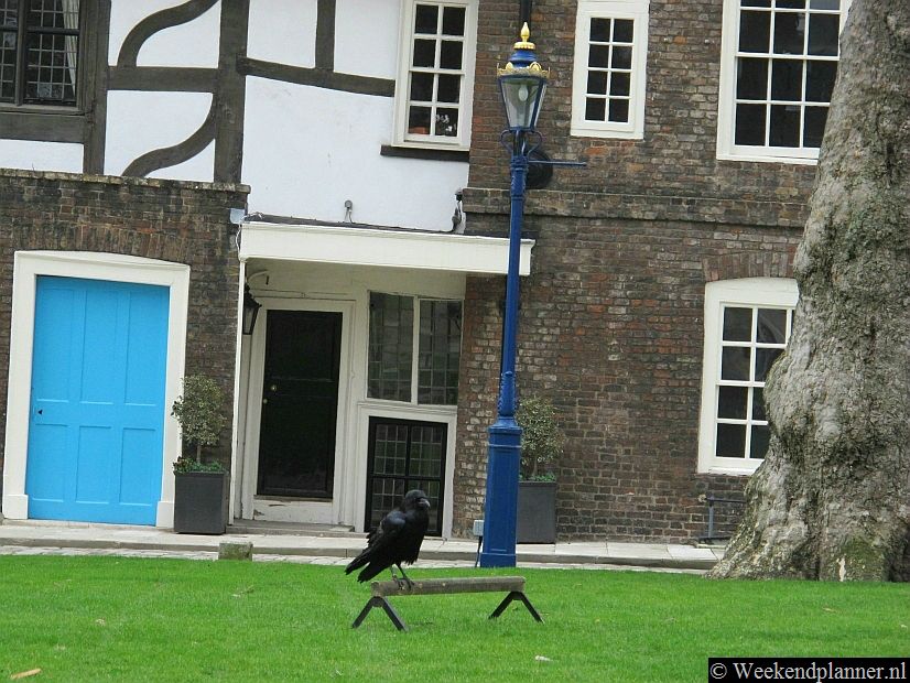 Volgens de legende zal de monarchie vallen als de raven uit de Tower verdwijnen. De raven zijn dan ook gekortwiekt.