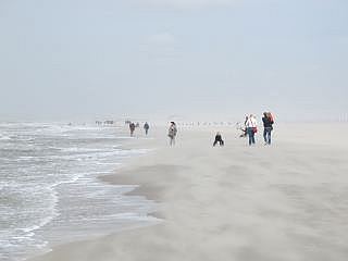 strand Hoek van Holland