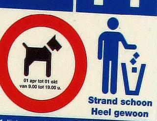 strand met hond