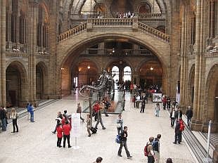 Natural History Museum