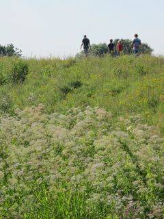 wandelen