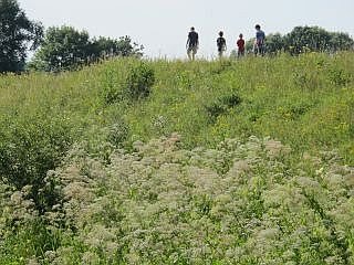 wandelen Limburg