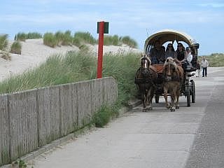 Borkum huifkar