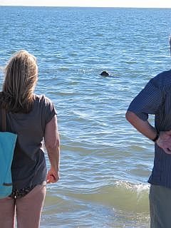 Externsteine Teutoburgerwald