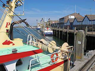 haven Breskens