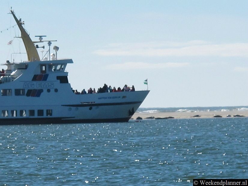 Je kunt vanuit Borkum met een boot tot vlakbij de zeehonden komen. De kaartjes koop je bij het toeristenbureau op het station.Tips: Het strand van Borkum.