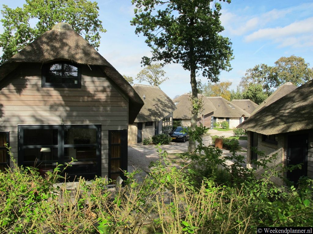 In Park Scorleduyn staan luxe vakantiehuizen die allemaal modern zijn ingericht. De vakantiehuizen hebben twee slaapkamers. Adres: Vakantiepark Scorleduyn, Oorsprongweg 8, Schoorl.Tips: Het vakantiepark van Schoorl.