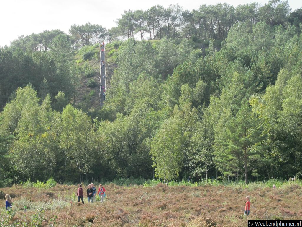 Vanuit het bezoekerscentrum van de Schoorlse Duinen loop je via een spectaculaire trap de Schoorlse Duinen in.  Navigatie adres:  Heereweg 62, Schoorl.Tips: Een picknick in het bos.