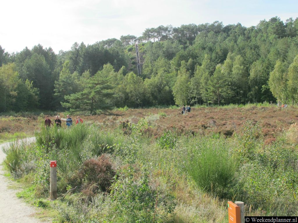 In dit natuurgebied liggen hoge duinen, bossen en natuurlijk zijn er de stuivende duinen met zijn duinvalleien. Uiteindelijk kom je op het strand.Tips: Leuke dingen doen op het strand.