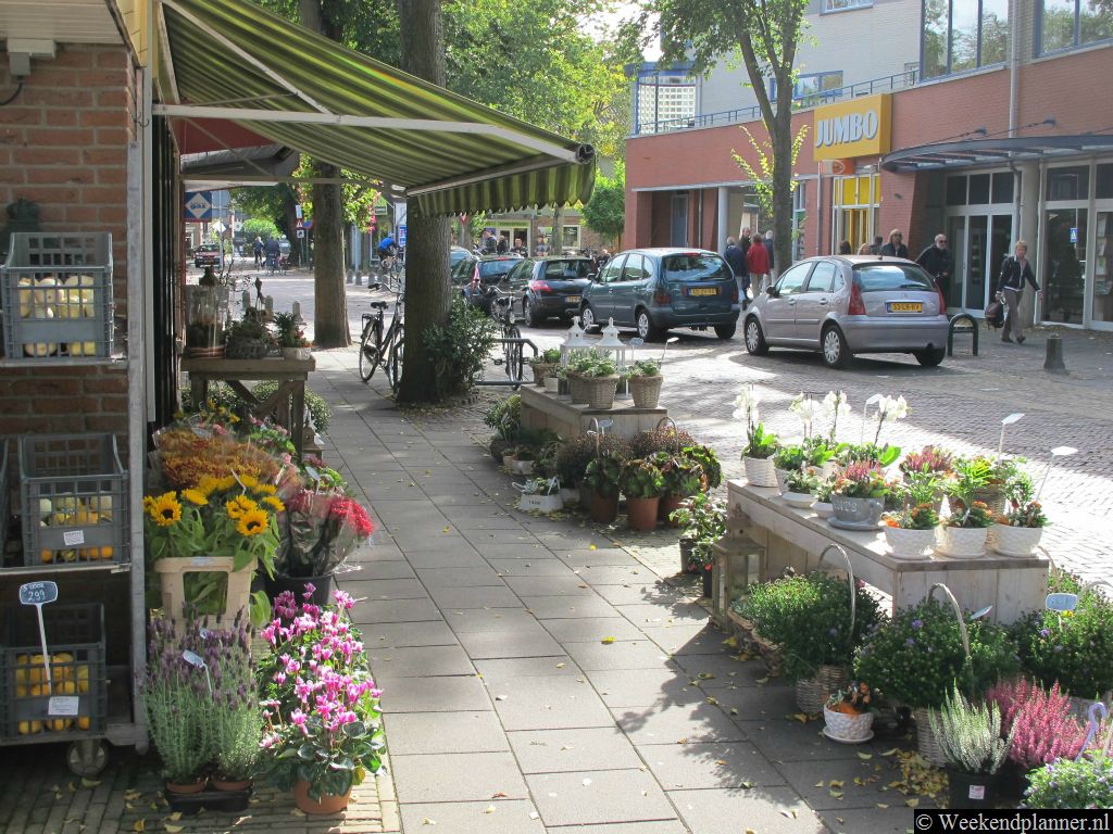 De Heereweg ligt in het centrum van Schoorl. Vlakbij het klimduin zijn veel winkels en restaurants en cafés.Tips: Een weekend in Schoorl.