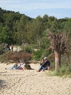 Texel