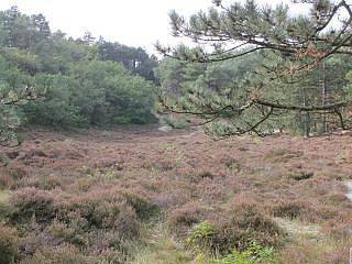 natuurgebieden NH