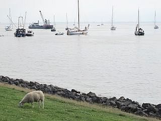 IJsselmeer