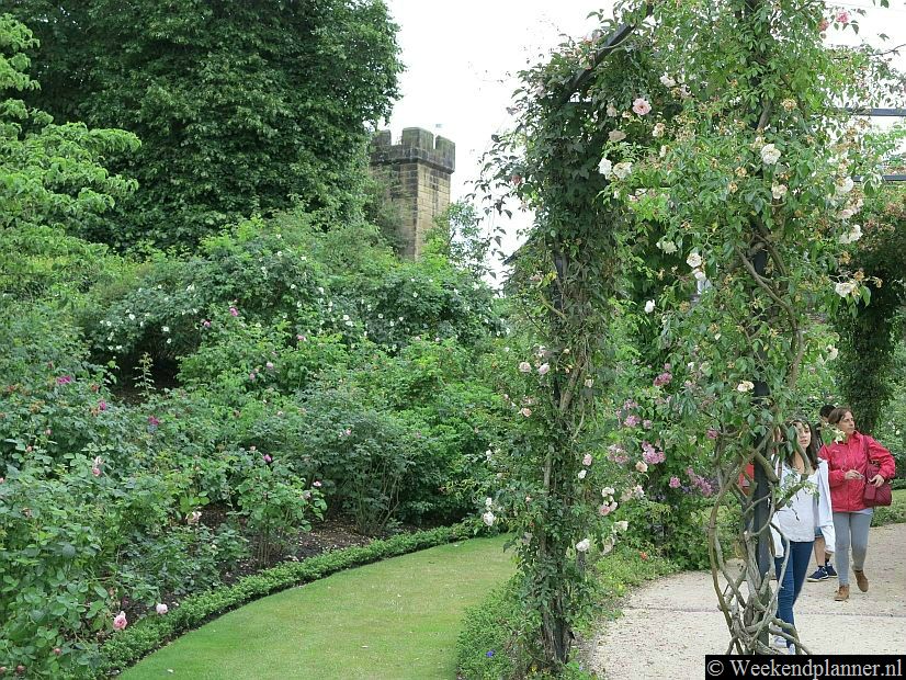 De rozentuin is één van de mooiste delen van de tuinen. 