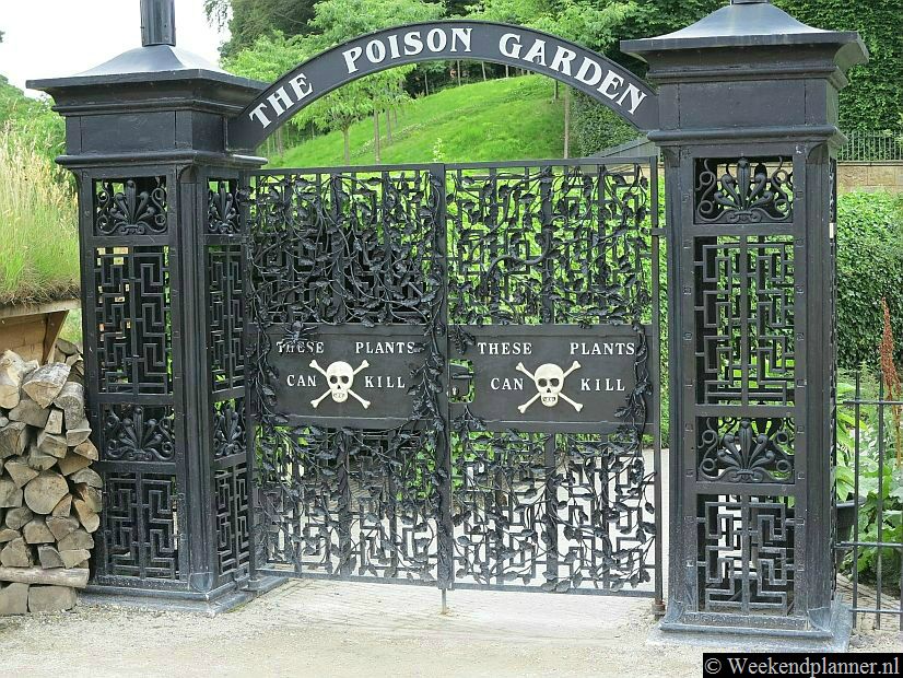 In de Poison Garden groeien giftige planten en kruiden. De tuin sluit eerder dan de rest van Alnwick Garden.Foto's van  Alnwick Castle.
