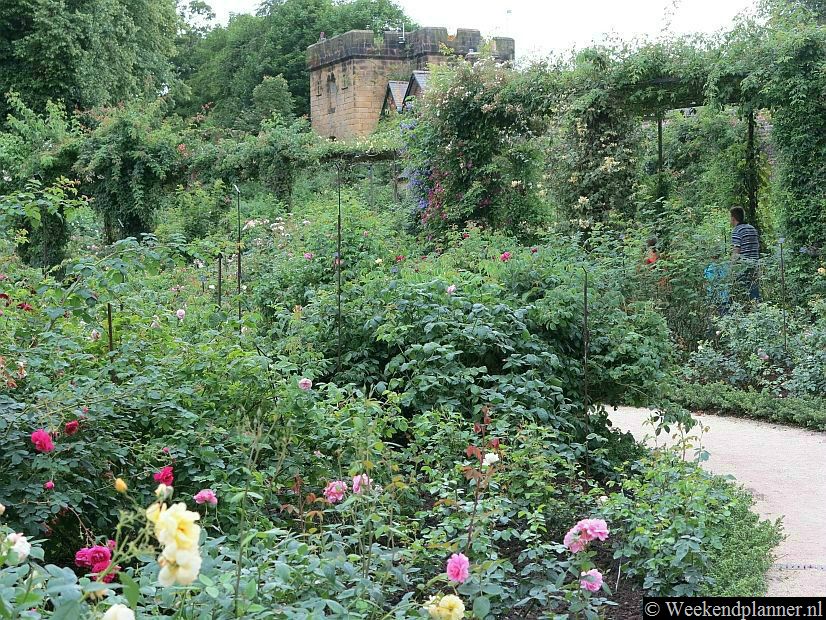 Buiten de muren van het kasteel is een prachtige 18de-eeuwse kasteeltuin met paviljoen, waterpartijen, een doolhof, kruidentuinen en een mooie rozentuin.  Voor toegang tot de tuinen moet je wel een kaartje kopen.Foto's van de tuinen van Alnwick Castle.