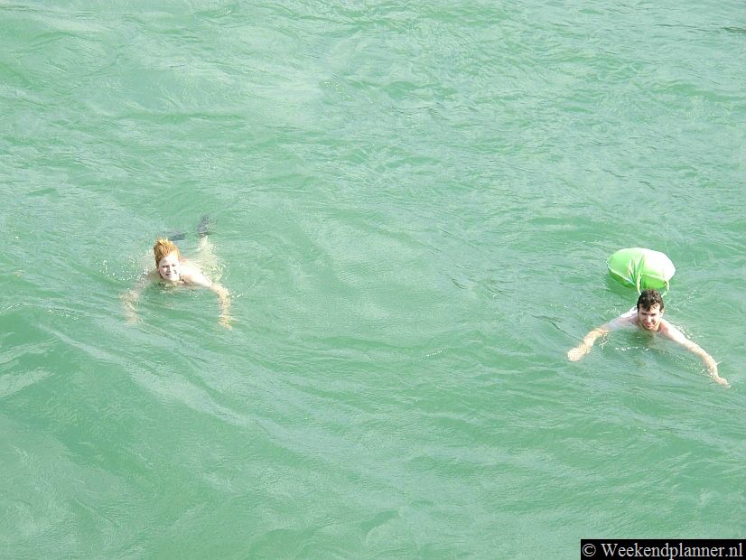 De stroming in de Rijn is bij Bazel erg sterk. Als je goed kunt zwemmen kun je je met de stroom mee laten drijven. Je kleren neem je mee in een waterdichte zak die je bij de Mittlere Brücke kunt kopen.
