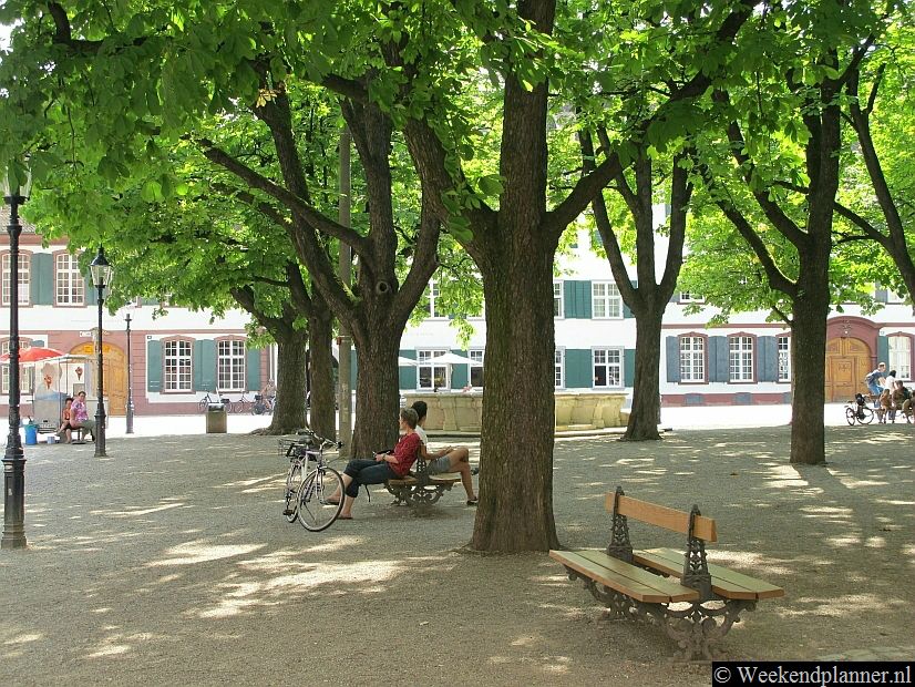Dit plein is de Münsterplatz. Op het plein staat o.a. de kathedraal en er zijn leuke terrasjes. Onder de bomen is het in de zomer goed toeven. Achter de kathedraal heb je een mooi uitzicht op de Rijn.Tip: De attracties van Bazel.