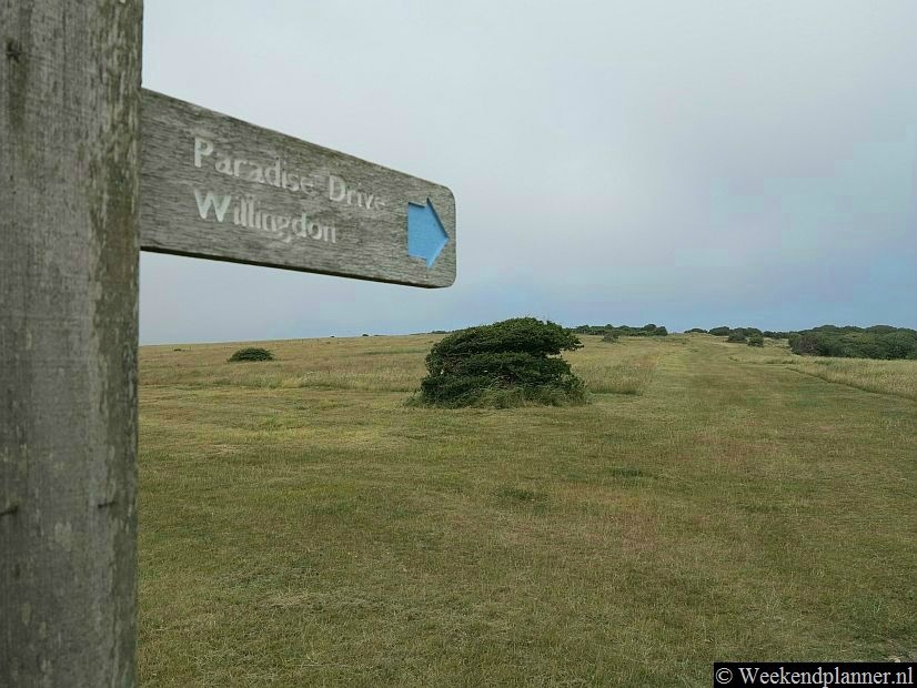 Als je van hiken houdt is Eastbourne een plaats om naartoe te gaan. Het langeafstandspad de South Downs Way loopt hier over de krijtrotsen. Vooral het deel tussen Beachy Head en de Seven Sisters bij Birling Gap is prachtig.Tip: Wandelen bij de witte  krijtroten de Seven Sisters.