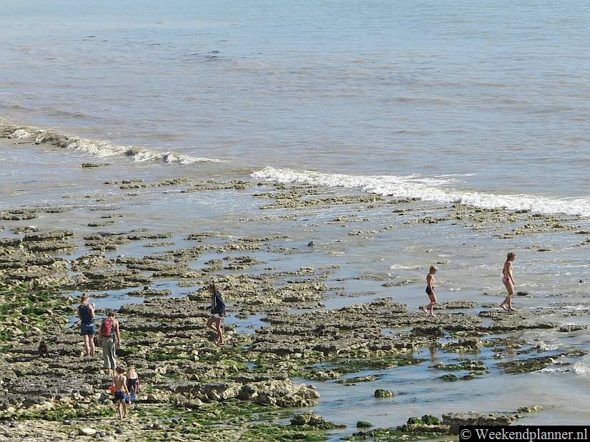 Bij eb vallen delen van de zeebodem droog. Je kunt er dan de kleine zeebeesten bekijken die hier tussen de rotsen leven.