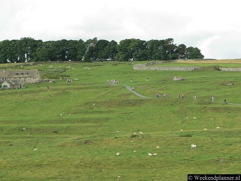 Vanaf het bezoekerscentrum loop je in ongeveer vijf minuten naar het museum en de resten van het fort. Hier naast het fort was vroeger een nederzetting met de families van de soldaten, handelaren en entertainment.Tip: De attracties van Hadran's Wall in Noord-Engeland.
