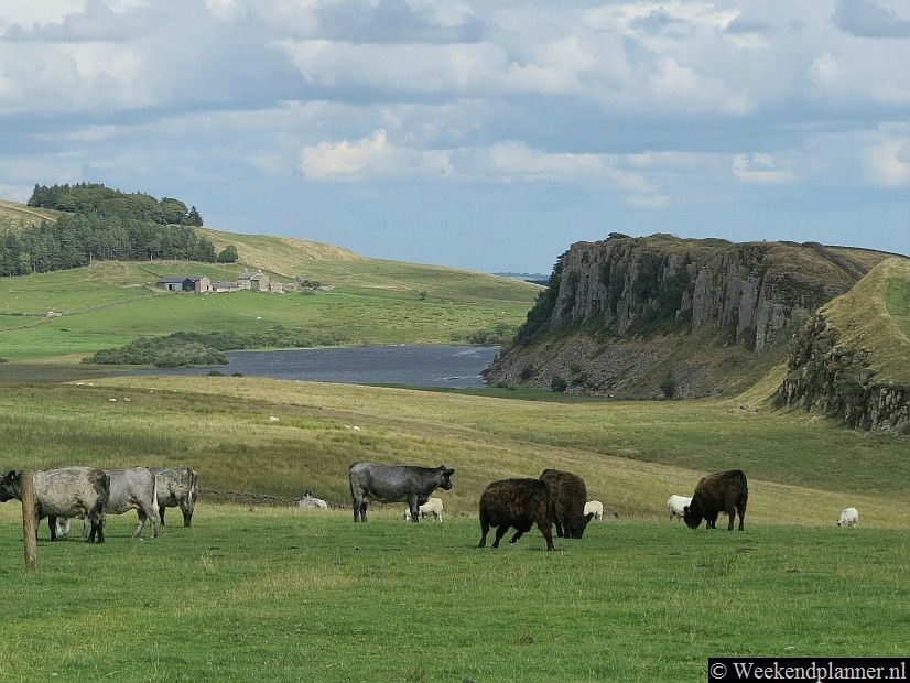Een mooi gebied voor een eerste kennismaking met het Northumberland National Park is Hadrian's Wall rond bezoekerscentrum Once Brewed. Vanaf de parkeerplaats Steel Ridge loop je door dit prachtige landschap over de rots de 6 km naar Fort Housestead.Foto's van het Romeinse Fort Housesteads.