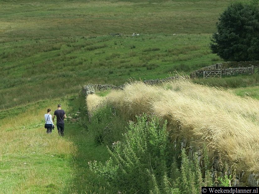 Het Northumberland National Park bestaat ruwweg uit vier delen: het gebied rond Hadrian's Wall, Coquetdale, North Tyne & Redesdale en The Cheviot Hills bij de Schotse grens.Tip: Mooie plaatsen in het Northumberland National Park.