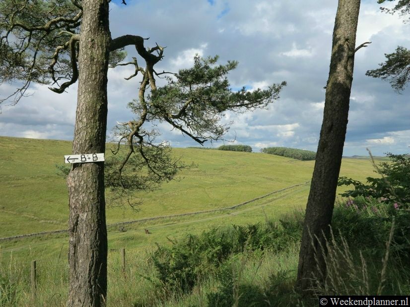 Het Northumberland National Park is dun bevolkt maar een plaats om te overnachten is er wel te vinden. Overnachten kun je op één van de vele campings of in de B&B's, hotels en hostels in de vele dorpen van het Northumberland National Park.Tip: Overnachten in de omgeving van Newcastle.