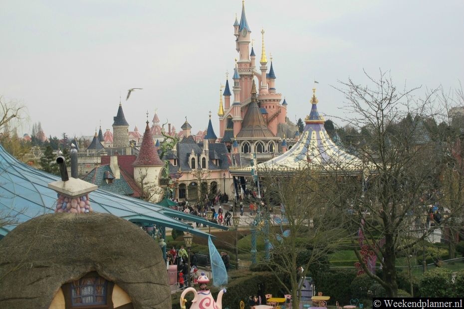  In het midden van het doolhof  staat een kasteel met een mooi uitzicht over Fantasyland.Tips: De winkels en restaurants van Main Street USA.