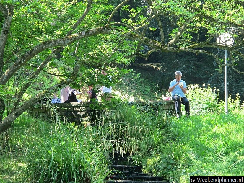 Rondom Baden Baden zijn bossen, beekjes en leuke dorpen en stadjes. Door de schone lucht en het warme bronwater dat op veel plaatsen naar boven gepompt wordt zijn er bij Baden Baden kuuroorden en wellnesscentra.Tip: Leuke plaatsen in het Zwarte Woud.