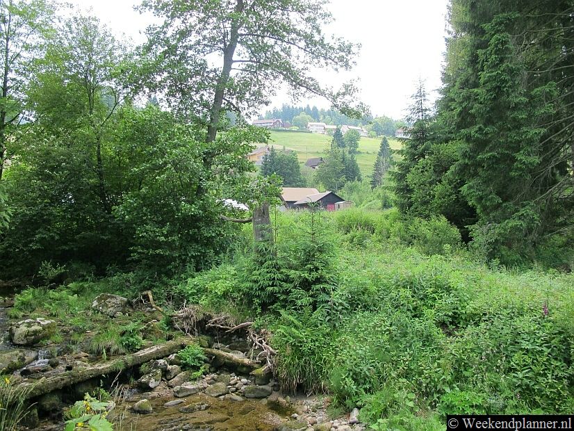 Dit is het landschap dat je veel ziet in de omgeving van Baden Baden. Tip: Wandelen in het Zwarte Woud.