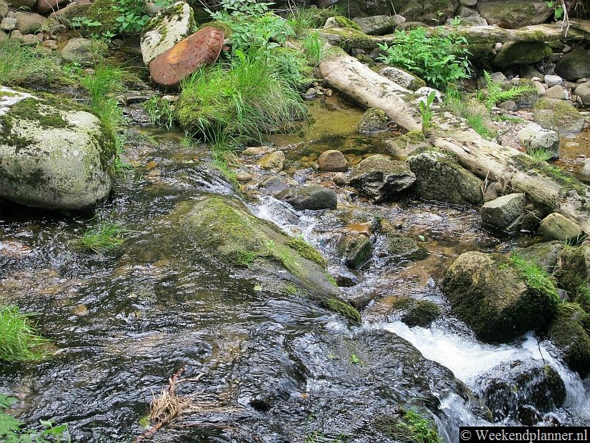 In de bossen van het Zwarte Woud rond Baden Baden zijn mooie paden en heldere beekjes.Tip: De attracties van Baden Baden.