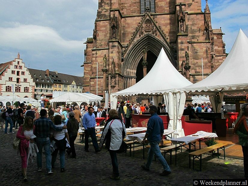 De toren van de kathedraal op de Münsterplatz stamt uit de 14de eeuw. De Münsterplatz is het meest centrale plein in de historische binnenstad. Alle bezienswaardigheden van de stad liggen binnen een straal van 10 minuten lopen.Tip: De attracties van Freiburg.