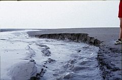wadlopen