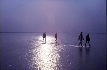 wadlopen