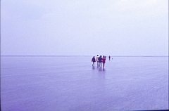 wadlopen