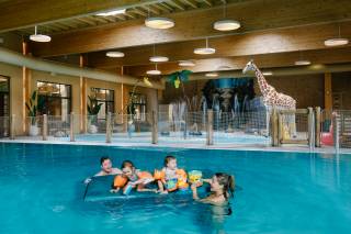 vakantiehuizen Beekse Bergen