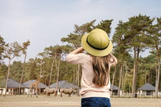 vakantiehuizen