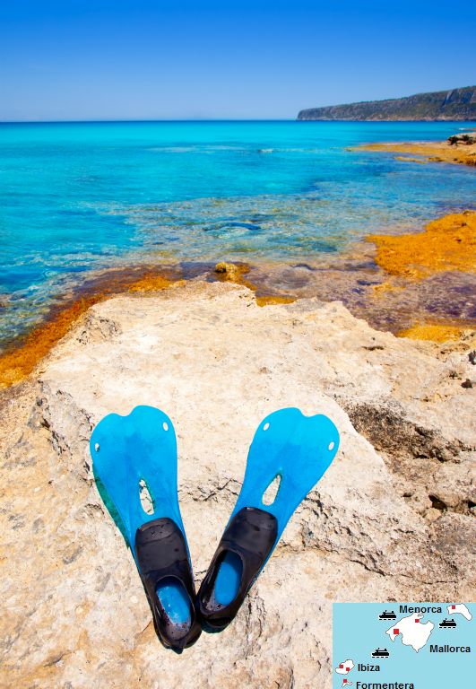Het zeewater van Formentera is er helder. Je kunt op sommige plekken wel vijftig meter ver onder water zien. Voor een paar tientjes koop je in de meeste badplaatsen op het eiland een duikbril en snorkel. Onder water zie je kleurrijke vissen. © Lunamarina | Dreamstime.comTip: Vakantie op de Spaanse eilandengroep Balearen..
