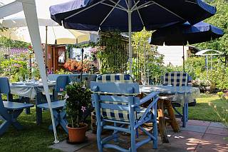 tuin