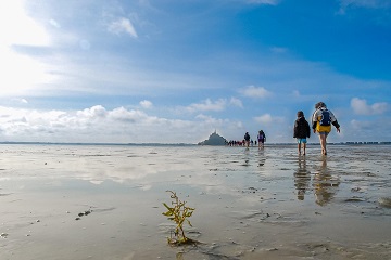 wadlopen naar het eiland