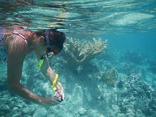 fotograferen snorkelen