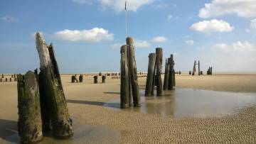 Wadden